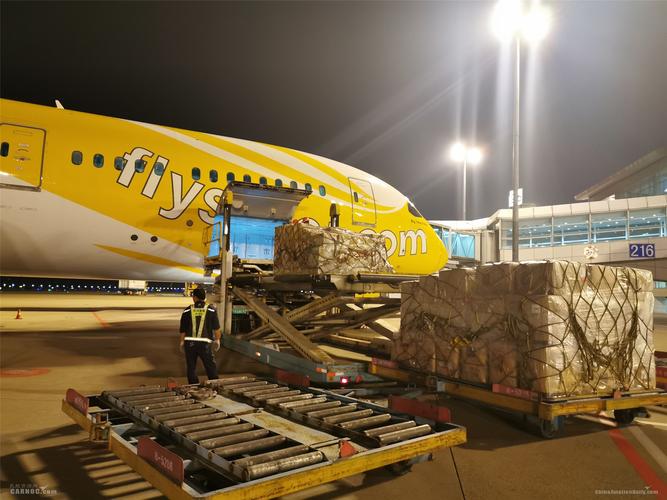 浙江省机场集团异地货站开辟航空运输新模式